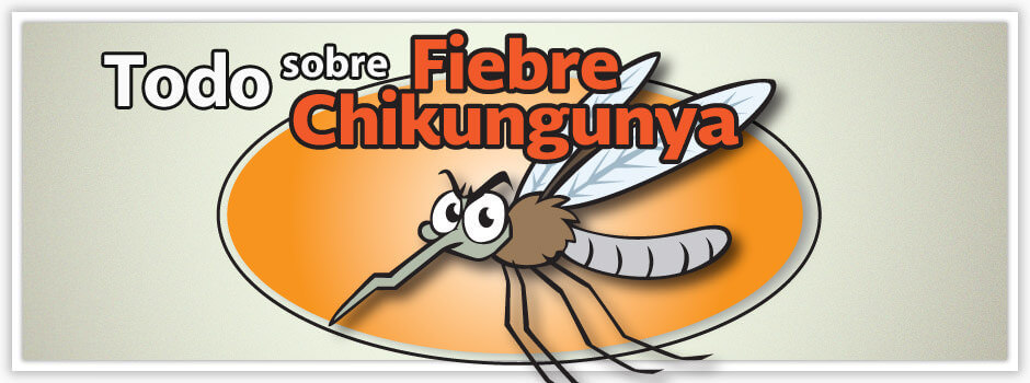 chikungunya-fever-a-condition-that-causes-chronic-consequences